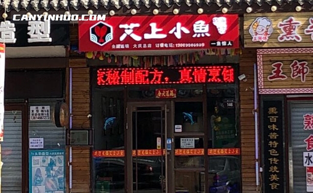 艾上小鱼，我们除了爱什么都不添加