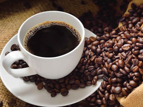 猫屎咖啡的功效与作用