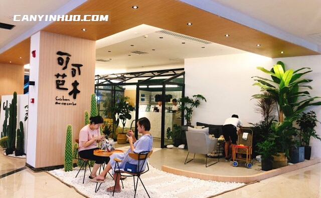 可可芭木，以老传统工艺制茶