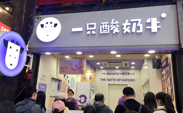 带你了解一只酸奶牛利润分析 带你了解一只酸奶牛利润分析