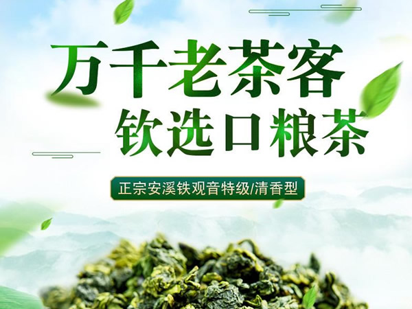 安溪铁观音茶叶加盟