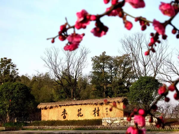 汾阳市杏花村风光