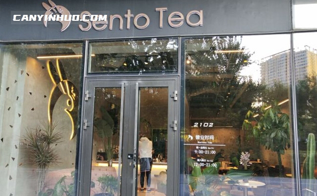 SentoTea森兔，健康茶饮连锁品牌